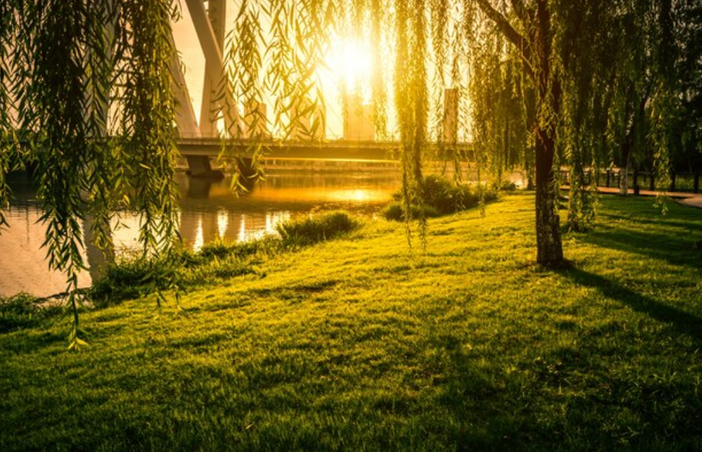 world sunny places to visit