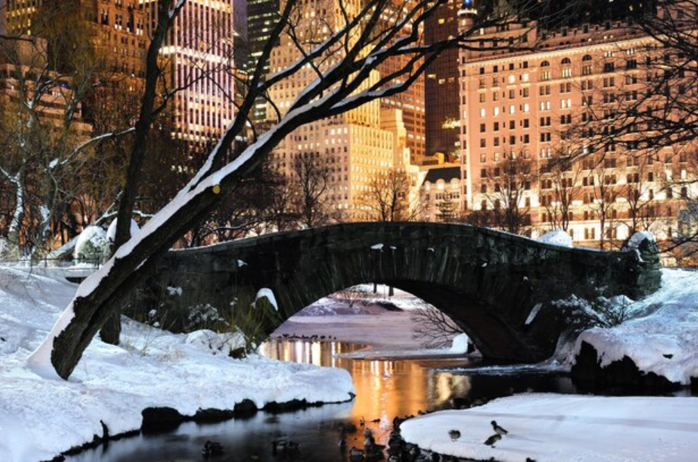 USA: New Orleans winters best picture