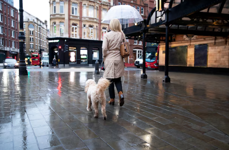 Historical Examples of London's Monsoon-like Weather